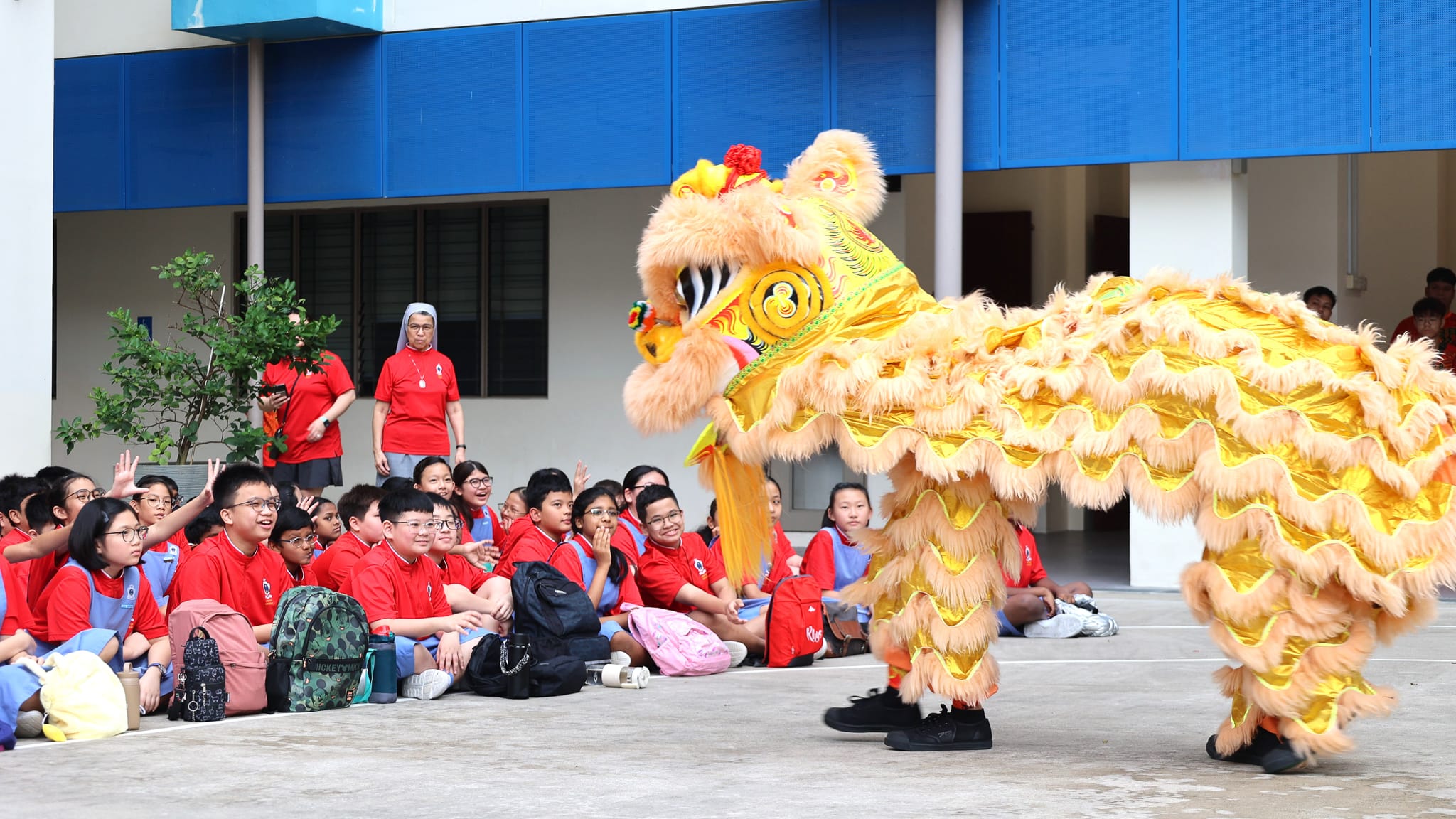 Chinese New Year Celebration